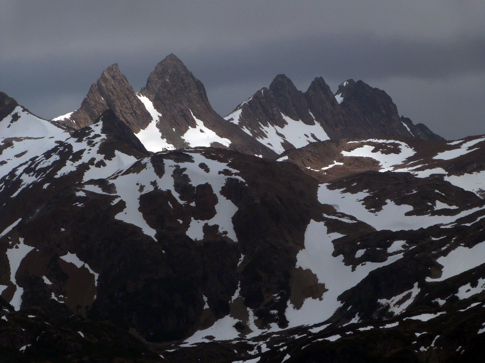 Dientes de Navarino