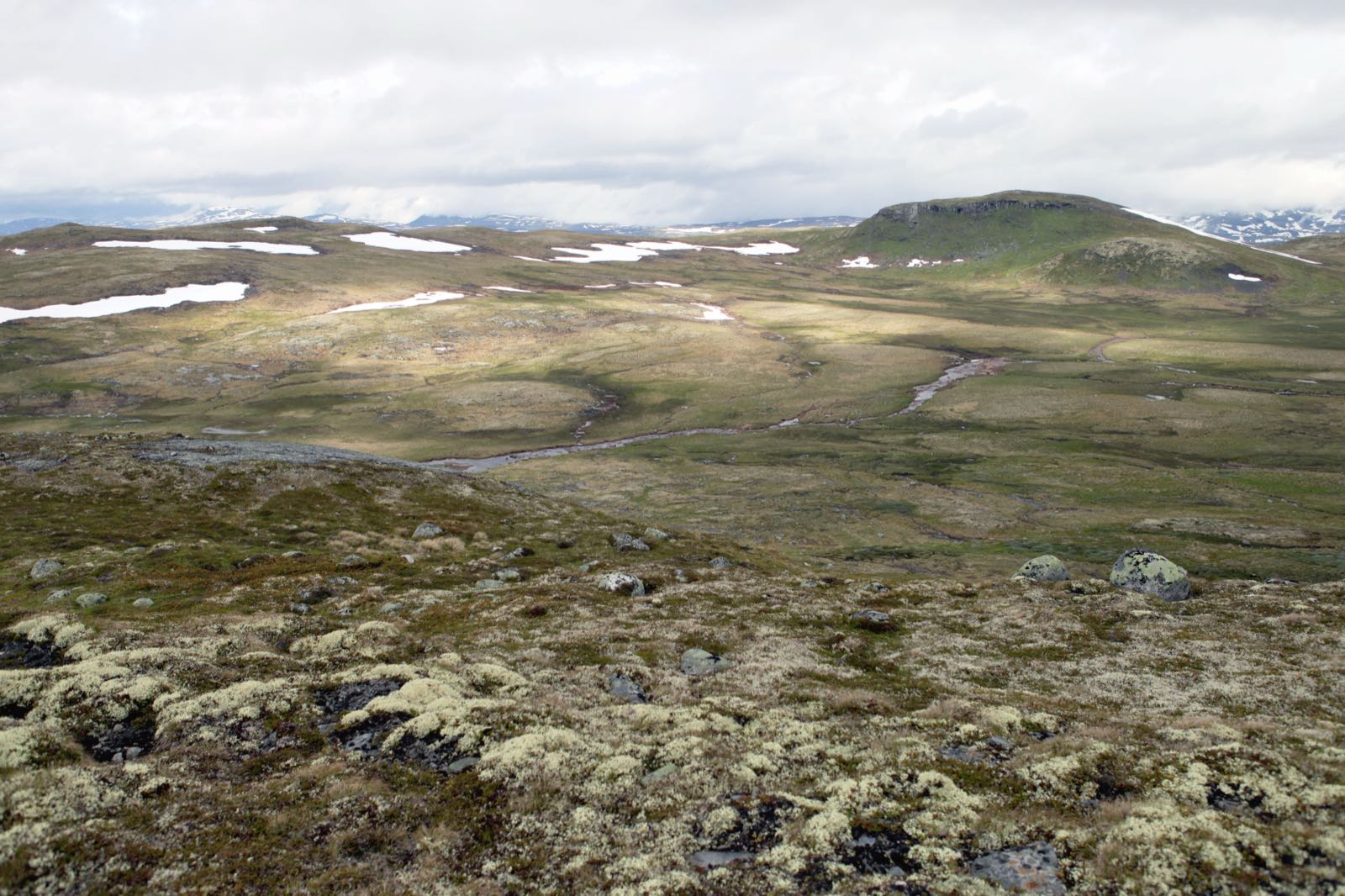 Hardangervidda