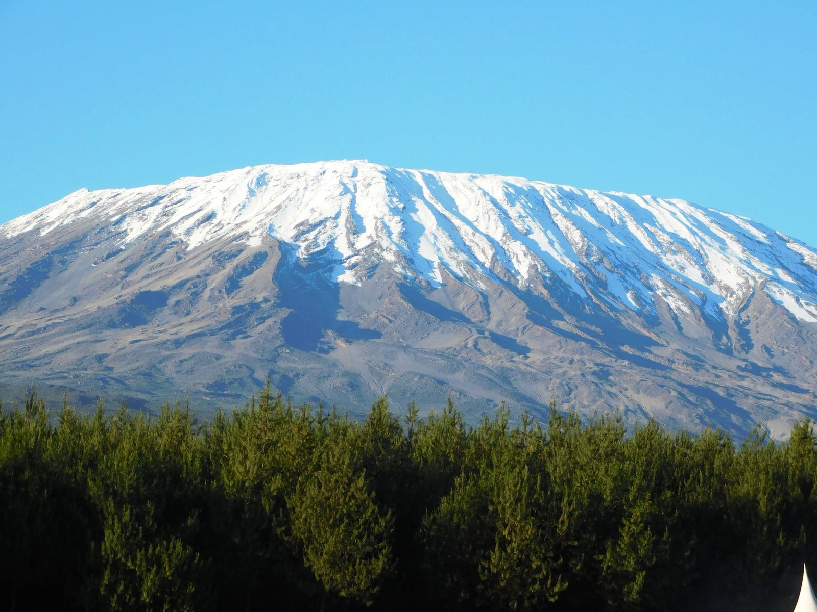 Kilimanjaro