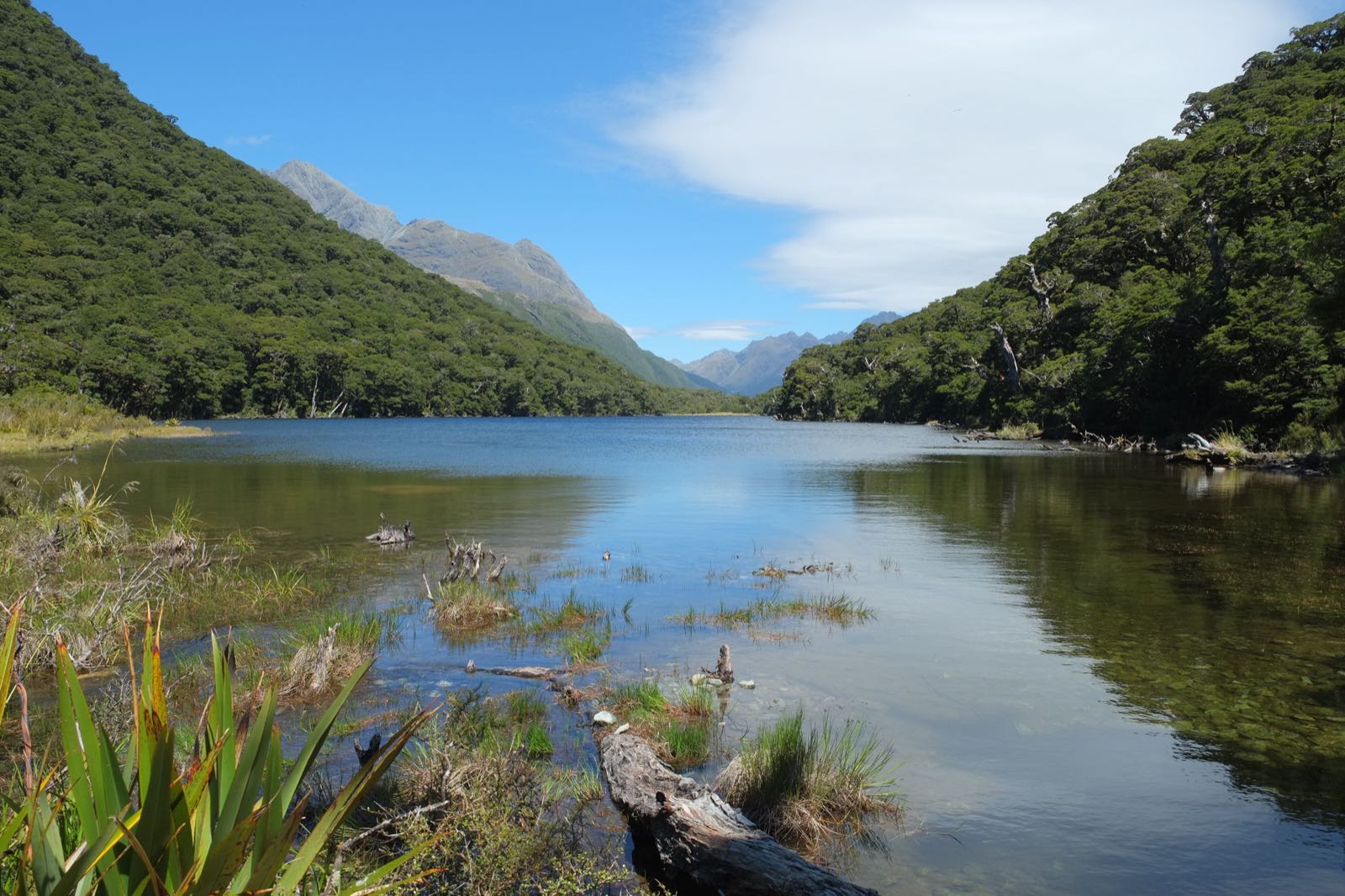 Routeburn Track
