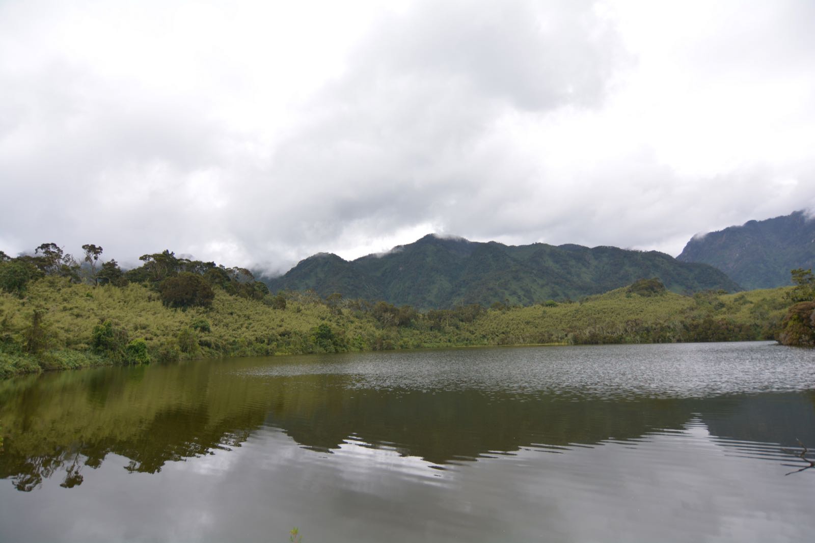 Rwenzori Mountains