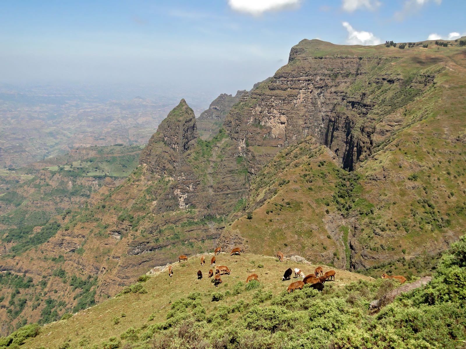 Simien Mountains